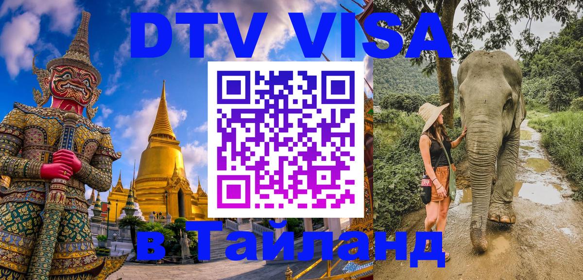 Сколько стоит DTV виза — актуальные цены, оформление даже без документов - Ставрополь  05.12.2025 